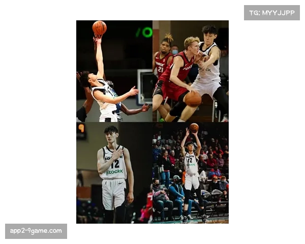 曾凡博尝试进入NBA 若回归将提升北京队夺冠概率